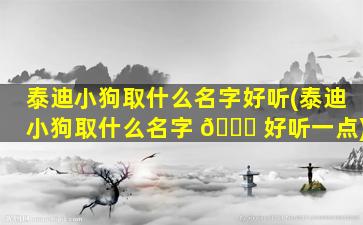 泰迪小狗取什么名字好听(泰迪小狗取什么名字 🐋 好听一点)